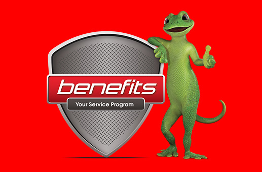 Bridgestone Benefits