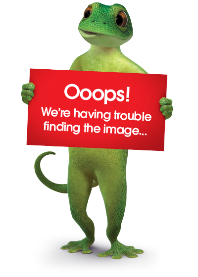 Bridgestone Ecopia EP500